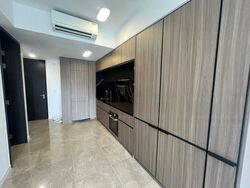 Irwell Hill Residences (D9), Apartment #458494761